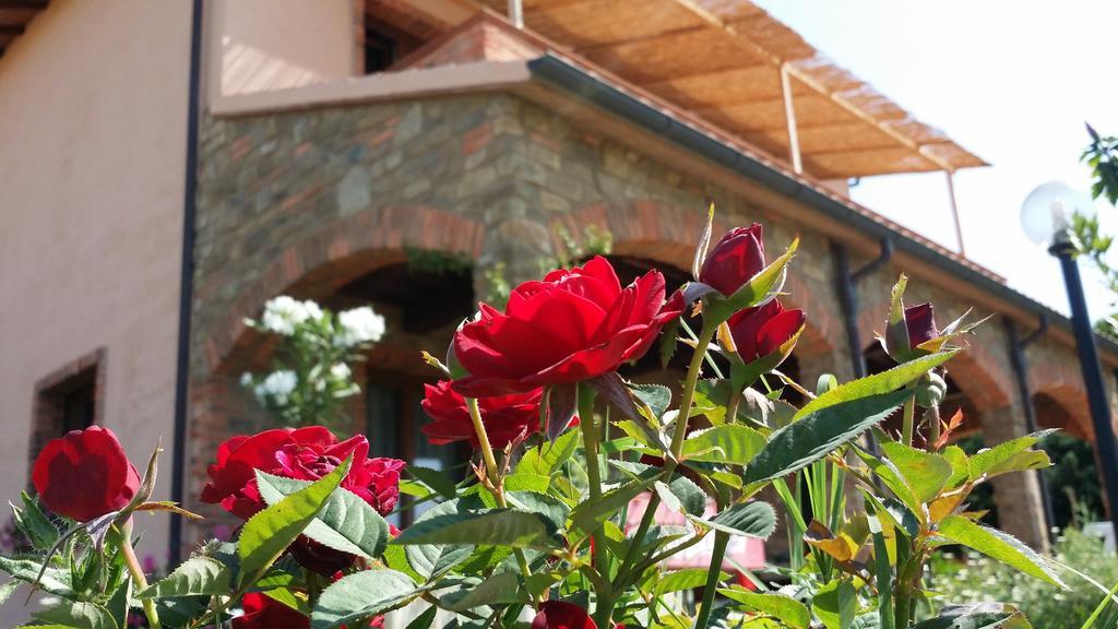 Agriturismo La Nocciolina Venturina Terme Exterior foto
