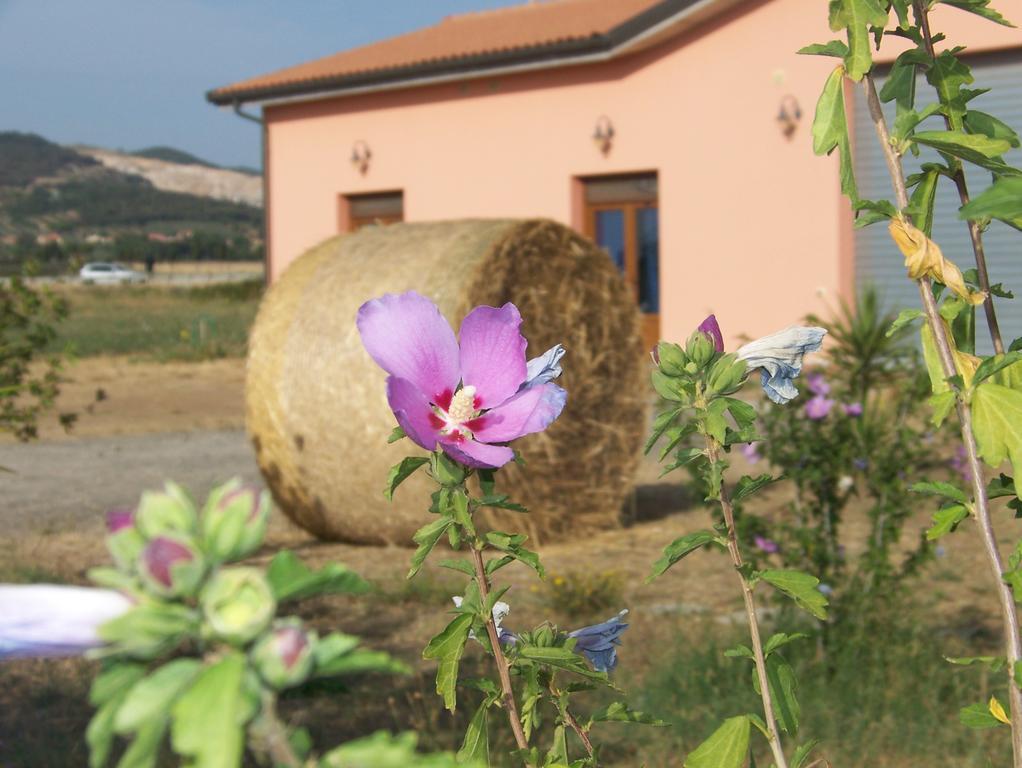 Agriturismo La Nocciolina Venturina Terme Exterior foto